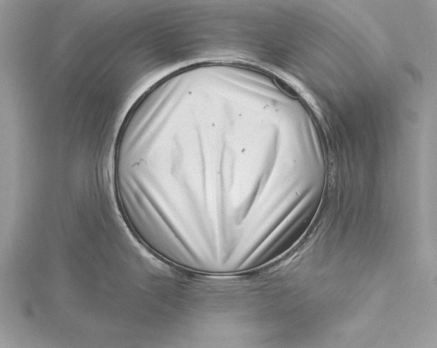 X0000115731343200912031358