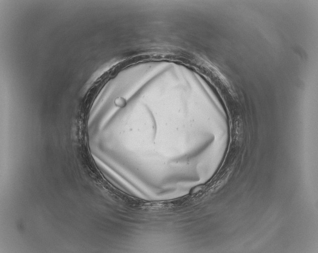 X0000115731352200912031357