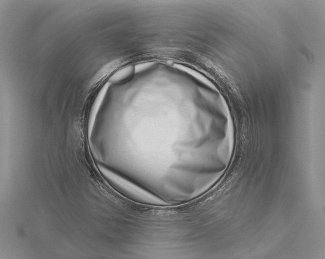 X0000115731354200912031357