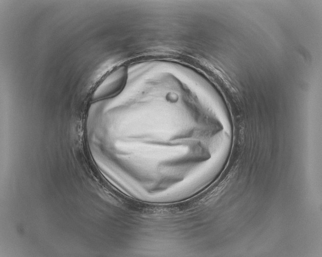 X0000115731355200912031357