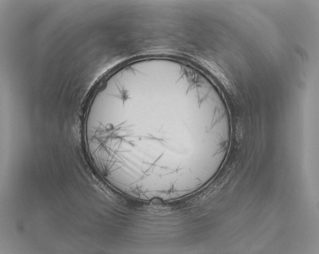 X0000115731356200912031357