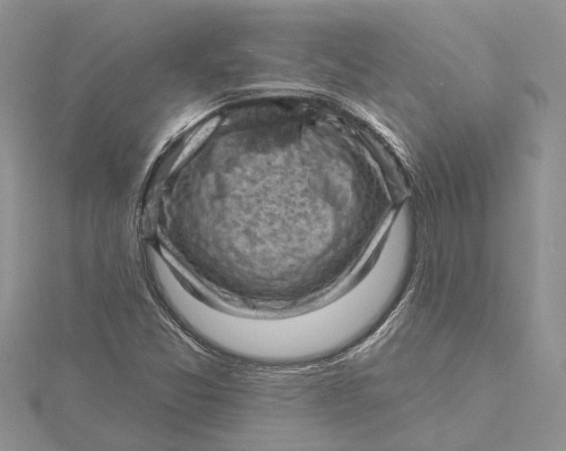 X0000115731357200912031357