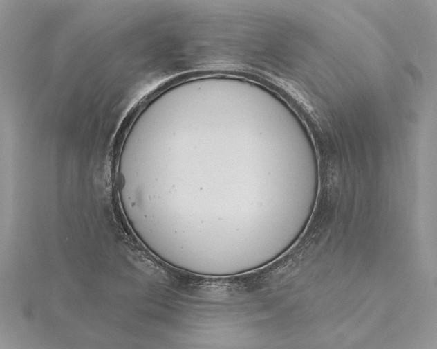 X0000115731364200912031357