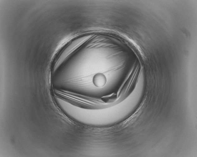 X0000115731365200912031357