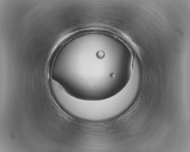 X0000115731368200912031357