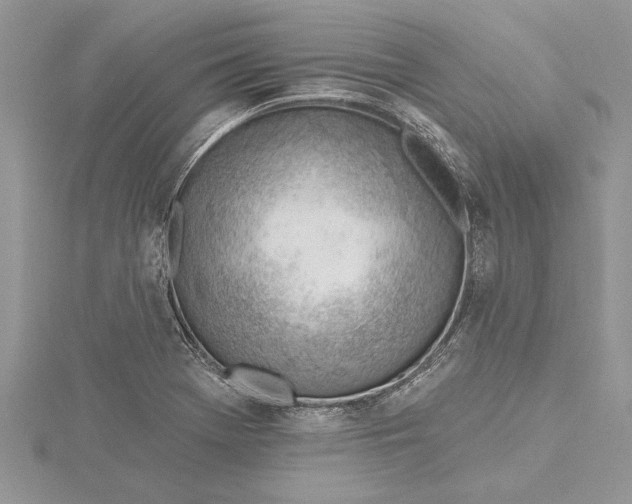 X0000115731369200912031357