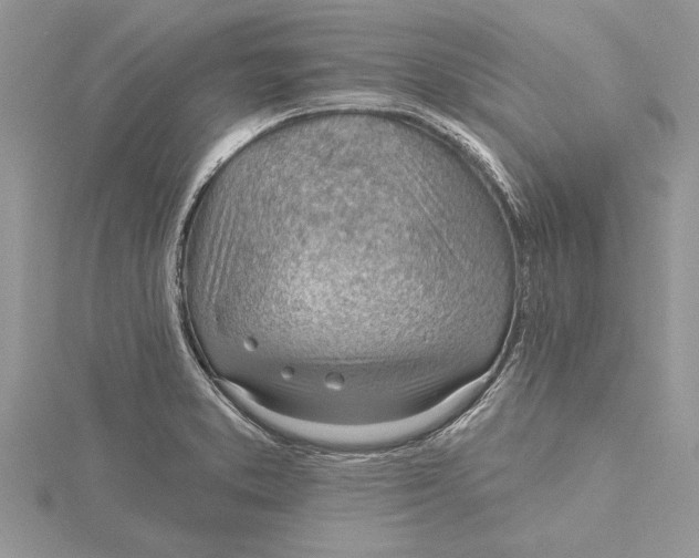 X0000115731373200912031357