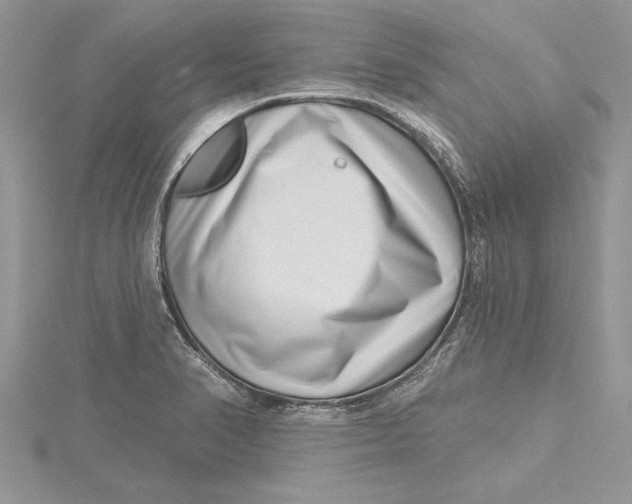 X0000115731374200912031357