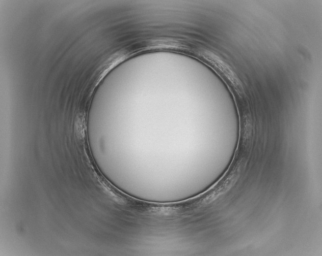 X0000115731377200912031357