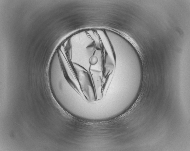 X0000115731380200912031357