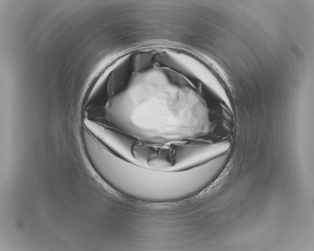 X0000115731381200912031357