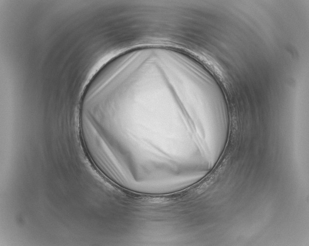 X0000115731382200912031357