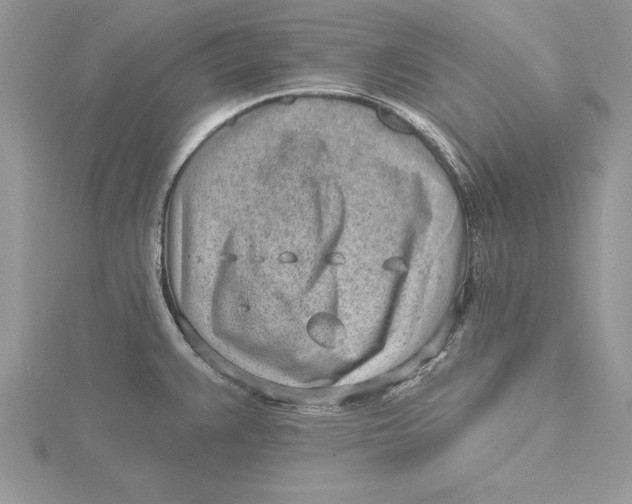 X0000115731383200912031357