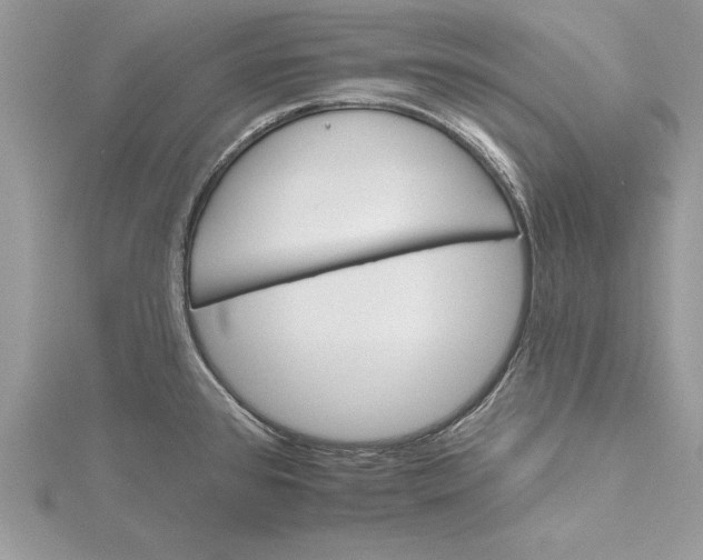 X0000115731384200912031357