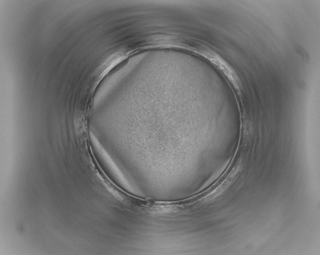 X0000115731385200912031357