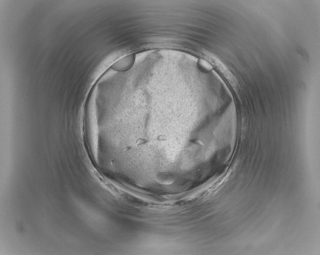 X0000115731386200912031357