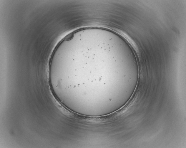 X0000115731388200912031357