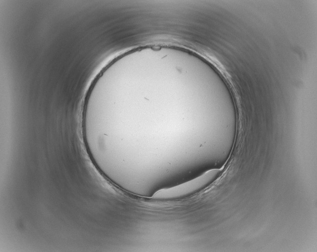 X0000115731392200912031357