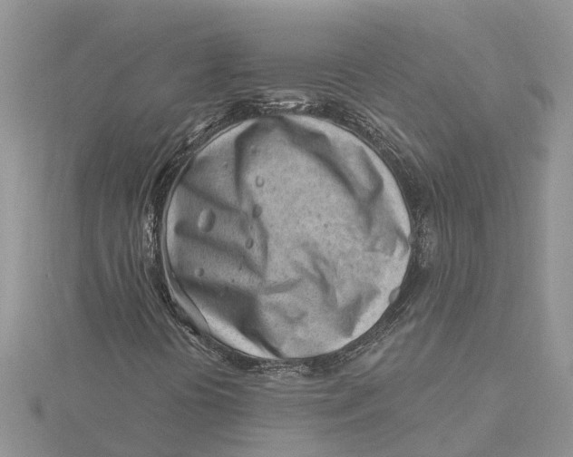 X0000115731394200912031356