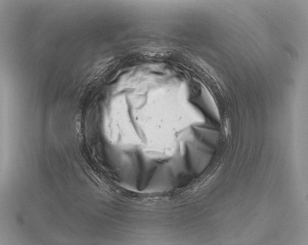 X0000115731396200912031356