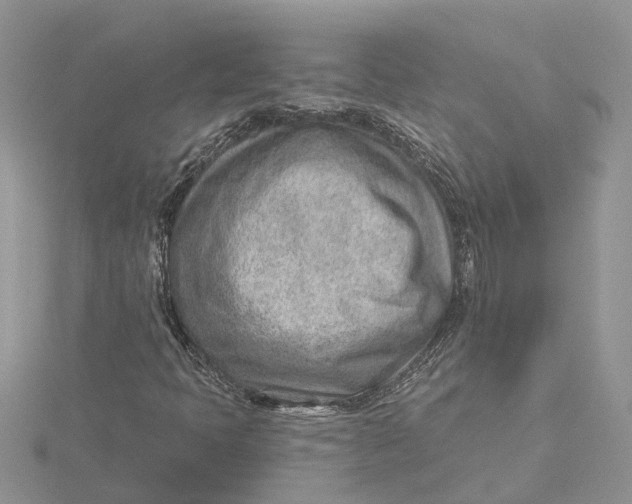 X0000115731397200912031356