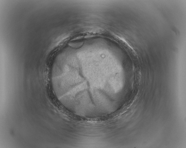 X0000115731399200912031356