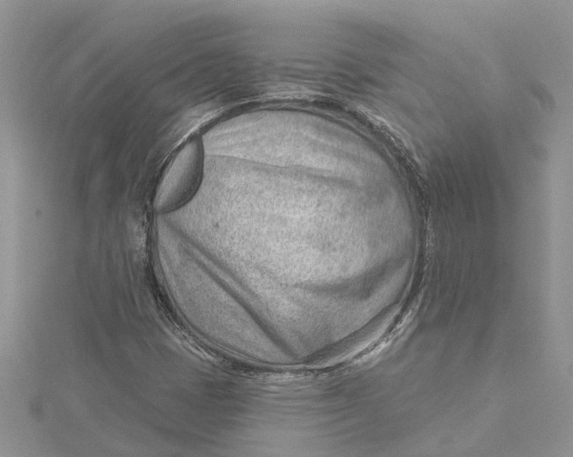 X0000115731401200912031356