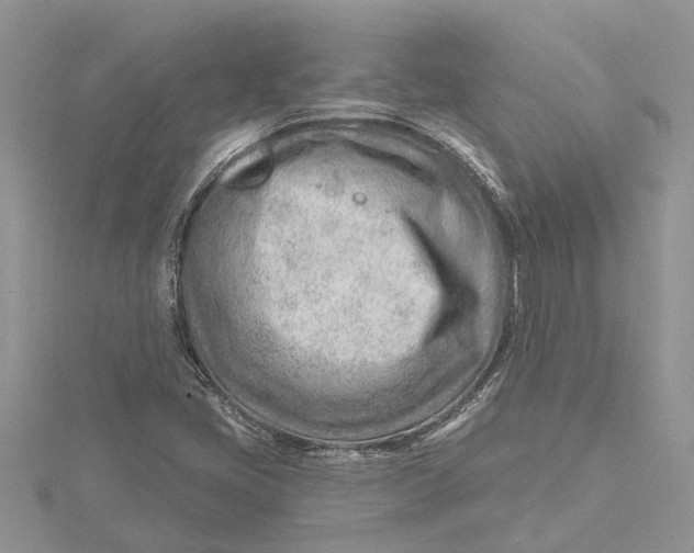 X0000115731405200912031356