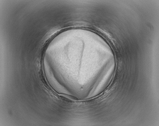 X0000115731407200912031356