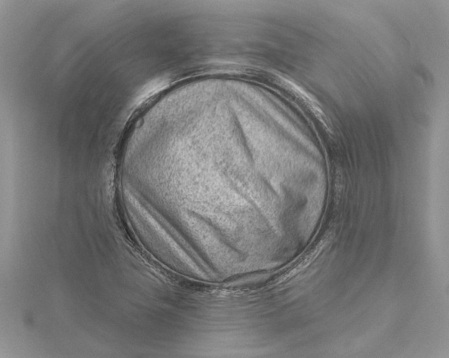 X0000115731411200912031356