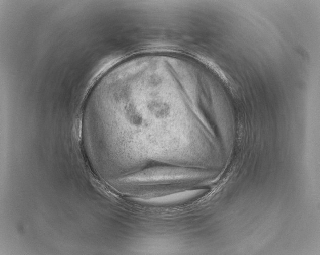 X0000115731413200912031356