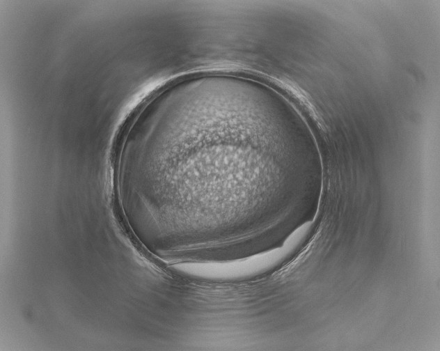 X0000115731414200912031356