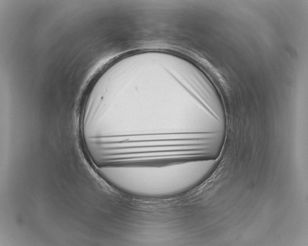 X0000115731416200912031356