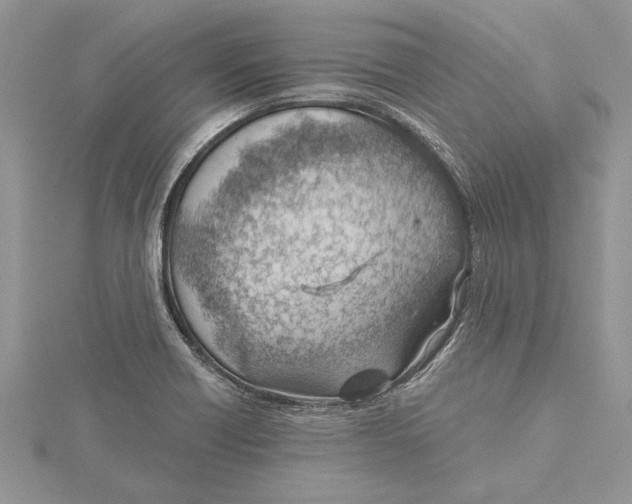 X0000115731418200912031356