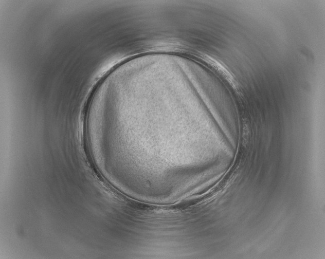 X0000115731419200912031356