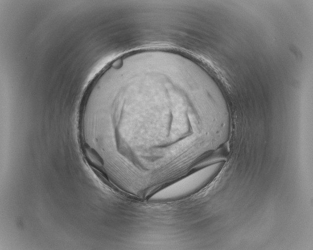 X0000115731422200912031356