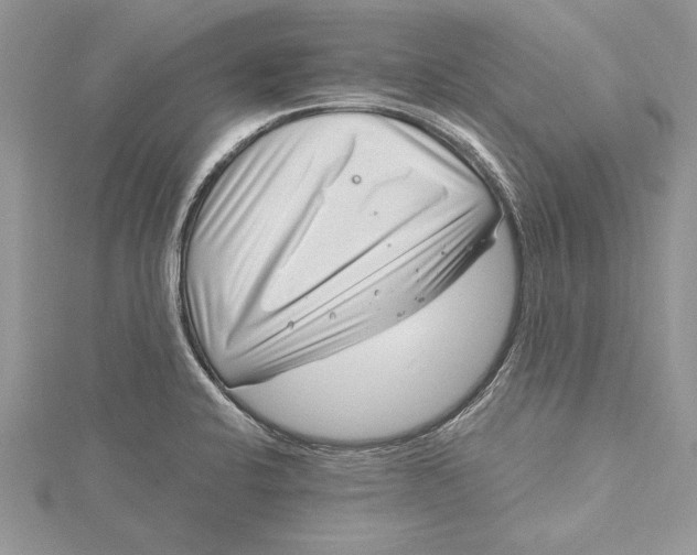 X0000115731424200912031356