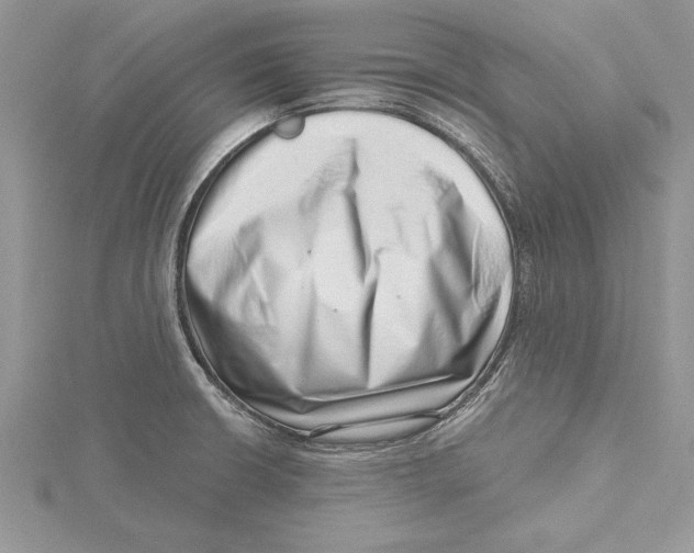 X0000115731426200912031356