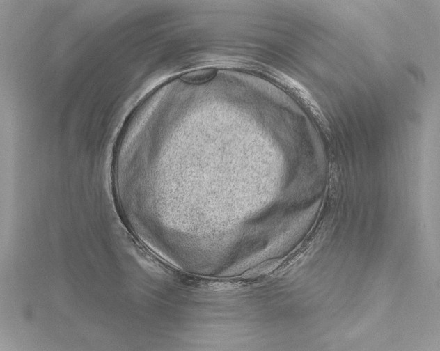 X0000115731427200912031356