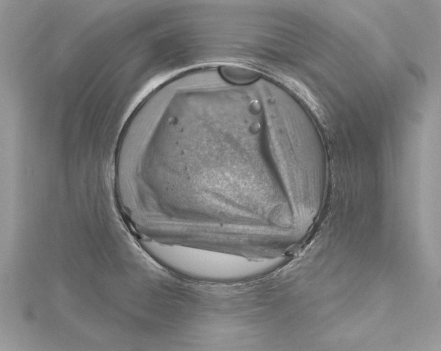 X0000115731428200912031356