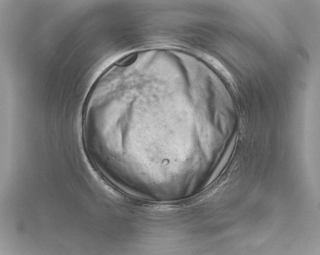 X0000115731431200912031356