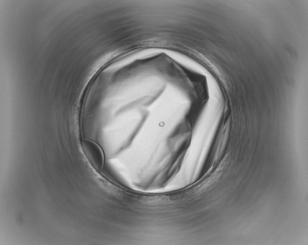 X0000115731434200912031356