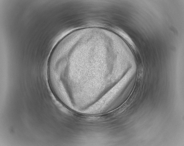 X0000115731439200912031356