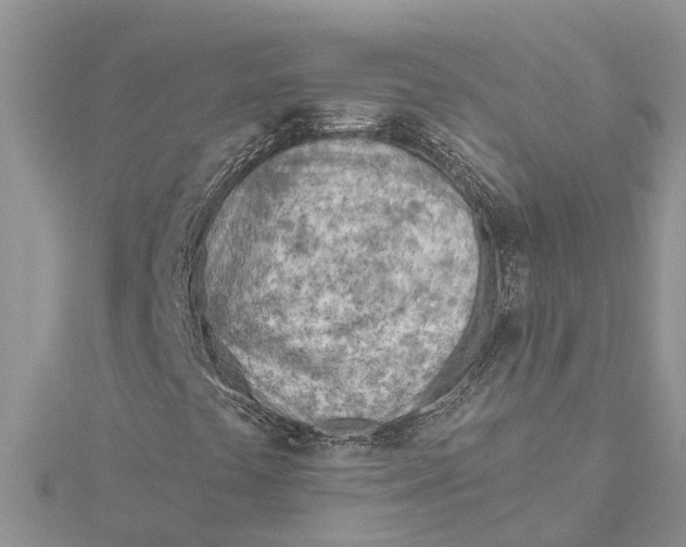 X0000115731441200912031356