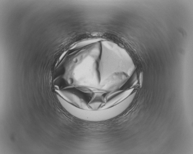 X0000115731443200912031356