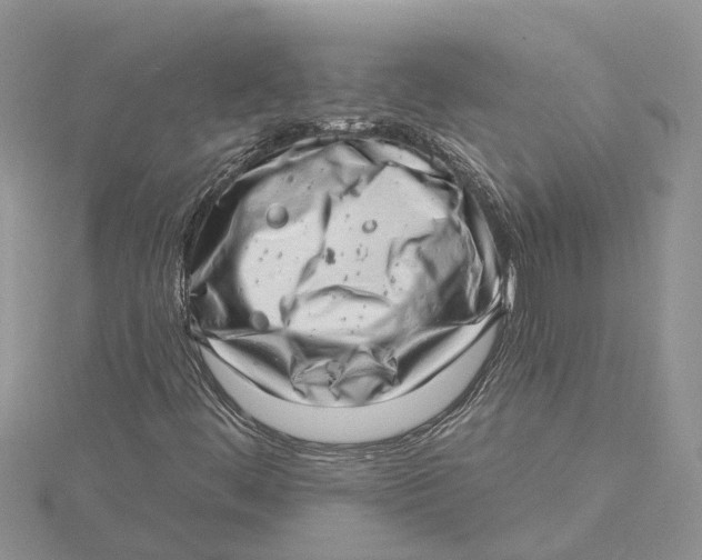 X0000115731444200912031356