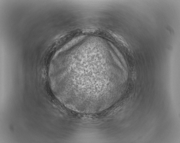 X0000115731445200912031356