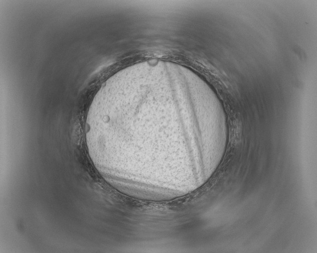 X0000115731446200912031356