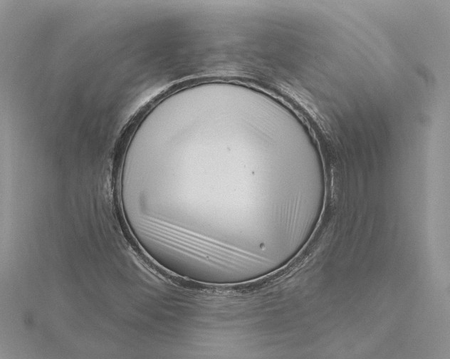 X0000115731452200912031356