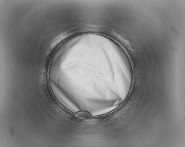 X0000115731453200912031356